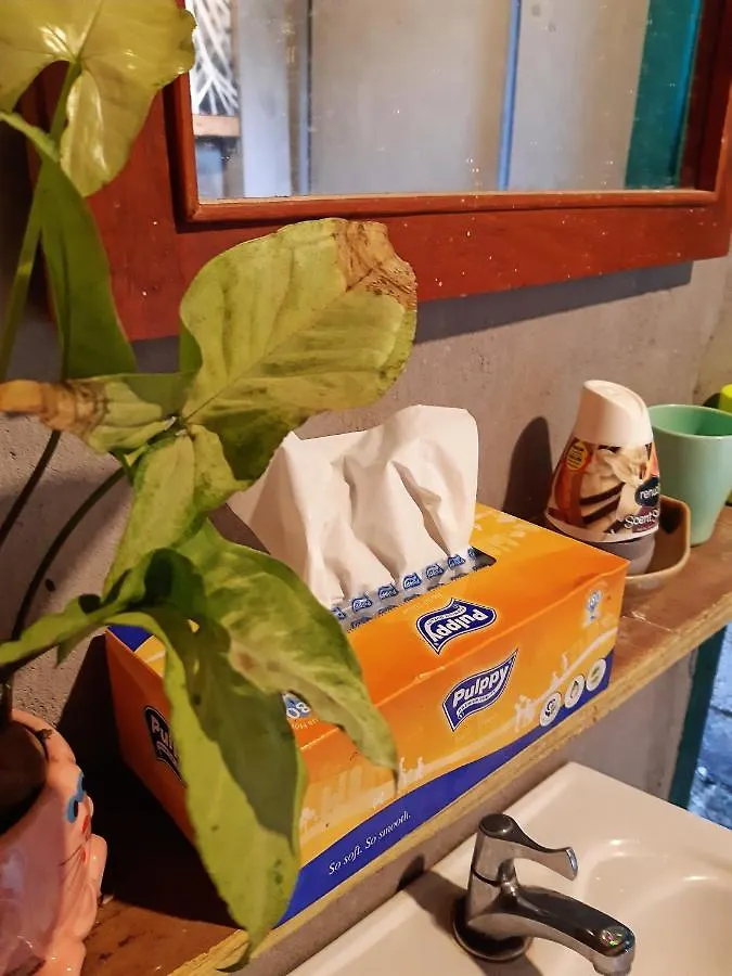 Homestay Gac Mo Vũng Tàu