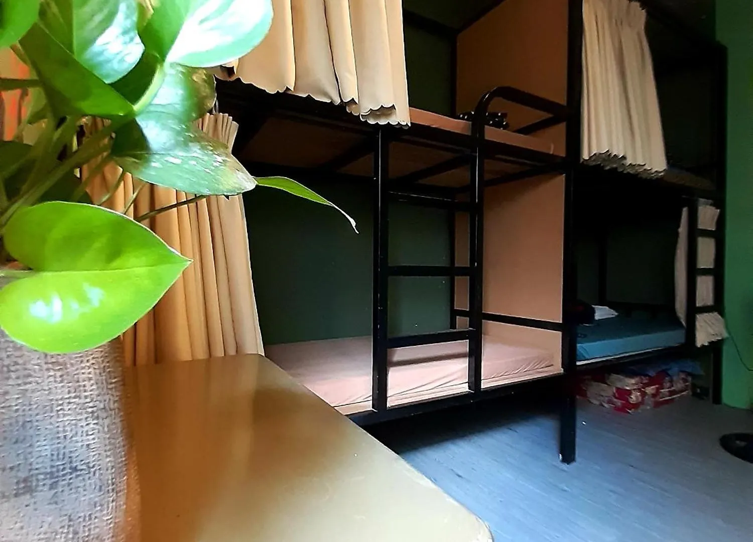 Homestay Gac Mo Vũng Tàu