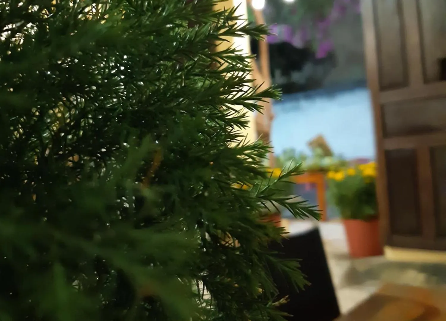 Homestay Gac Mo Vũng Tàu