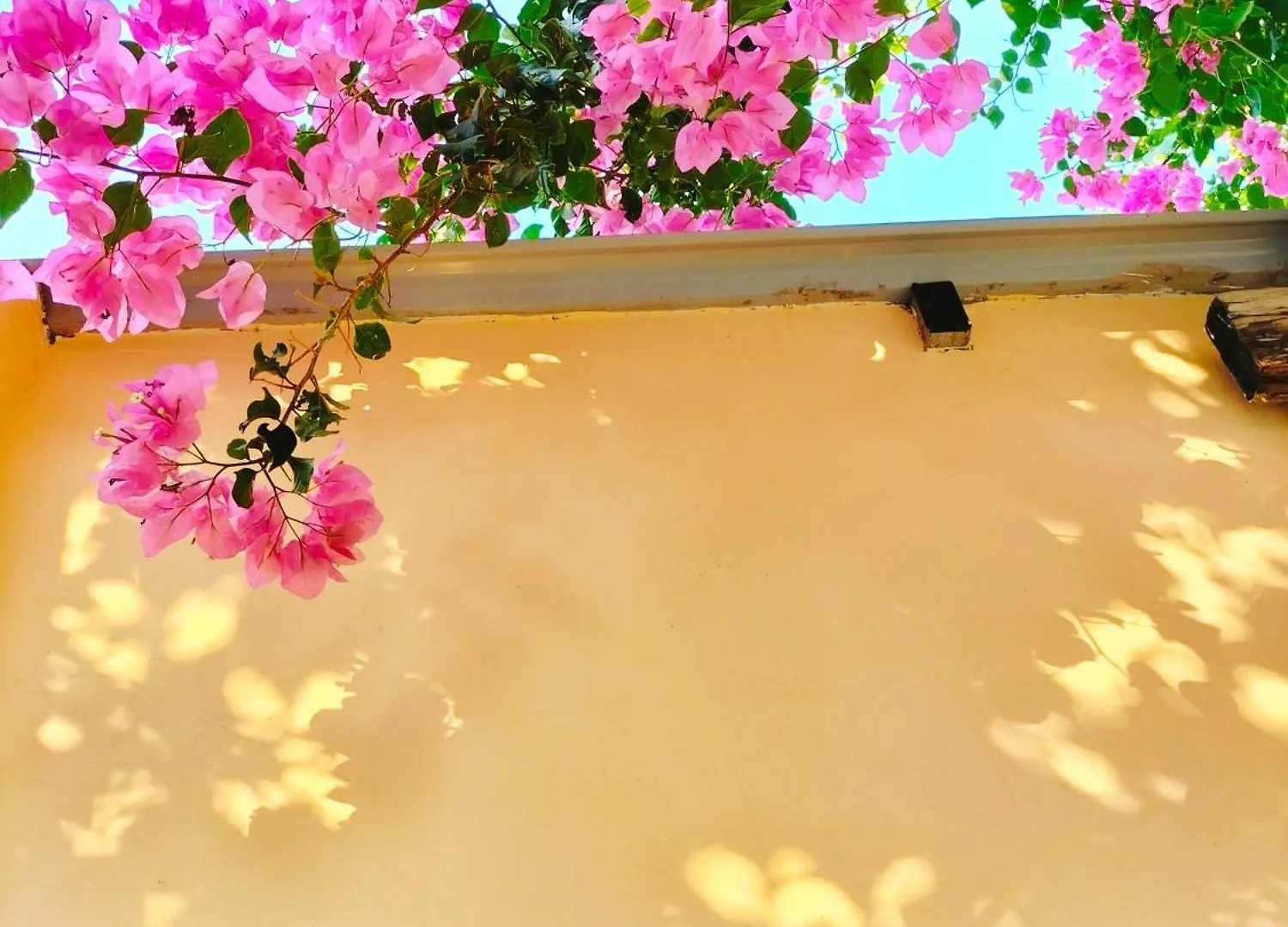 Homestay Gac Mo Vũng Tàu