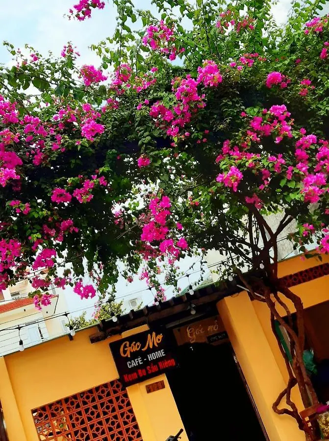 Homestay Gac Mo Vung Tau